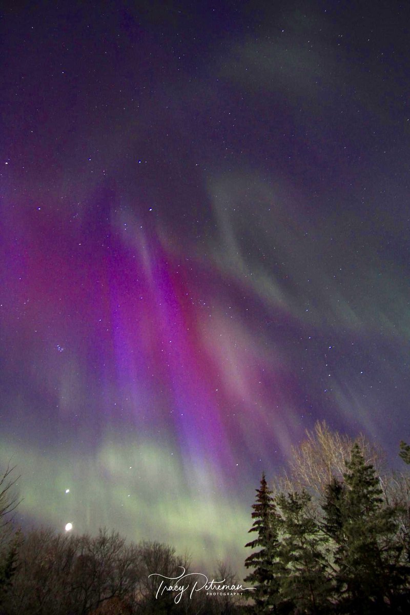 tracypetr's tweet photo. Mar 23/23 #solarstorm #aurora #Killam #alberta #canada 
@AuroraNotify @AlbertaAurora @AuroraMAX @TamithaSkov @chunder10 @photohour @scottrockphoto @mikesobel @FlagstaffCounty @goeastofYEG https://t.co/fpsnmhAmKx