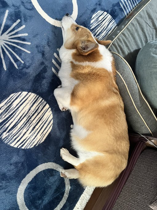 おはようございます。 