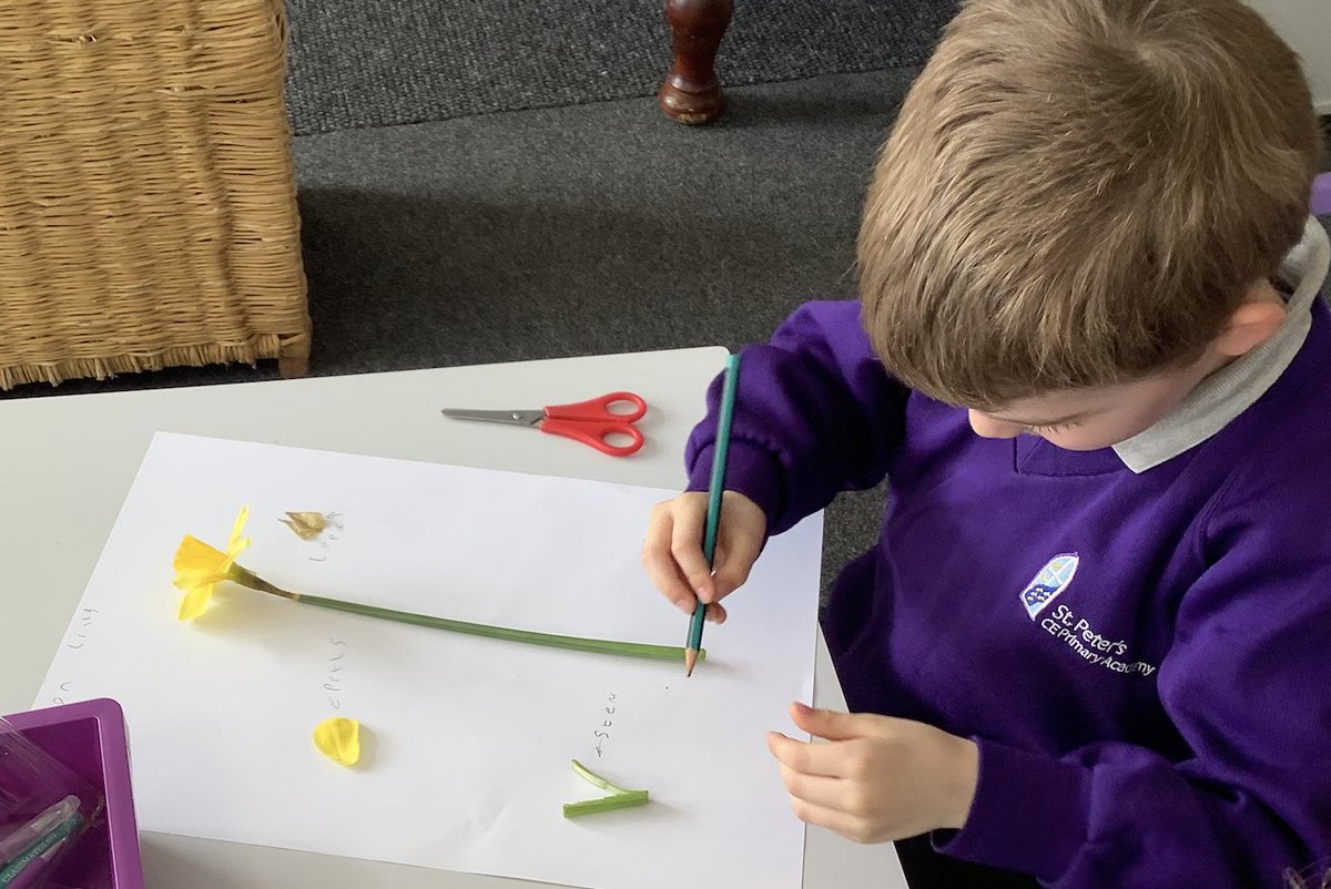 Science week was full of enquiry! Reception - Whose habitat is that? (Animals); Year 1/2 - What is growing in our garden? (Plants) Year 3/4 - Why should we protect bees? (Pollination); Year 5/6 - Can humans see in the dark? (Light and shadows) <a href="/DSATStPeter/">St Peter's CE Primary Academy</a> <a href="/thedsat/">The DSAT Project</a>