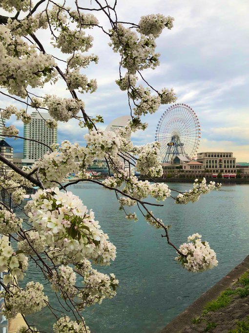雨中の横浜デート楽しかったよ https://t.co/q1qar0RqDy
