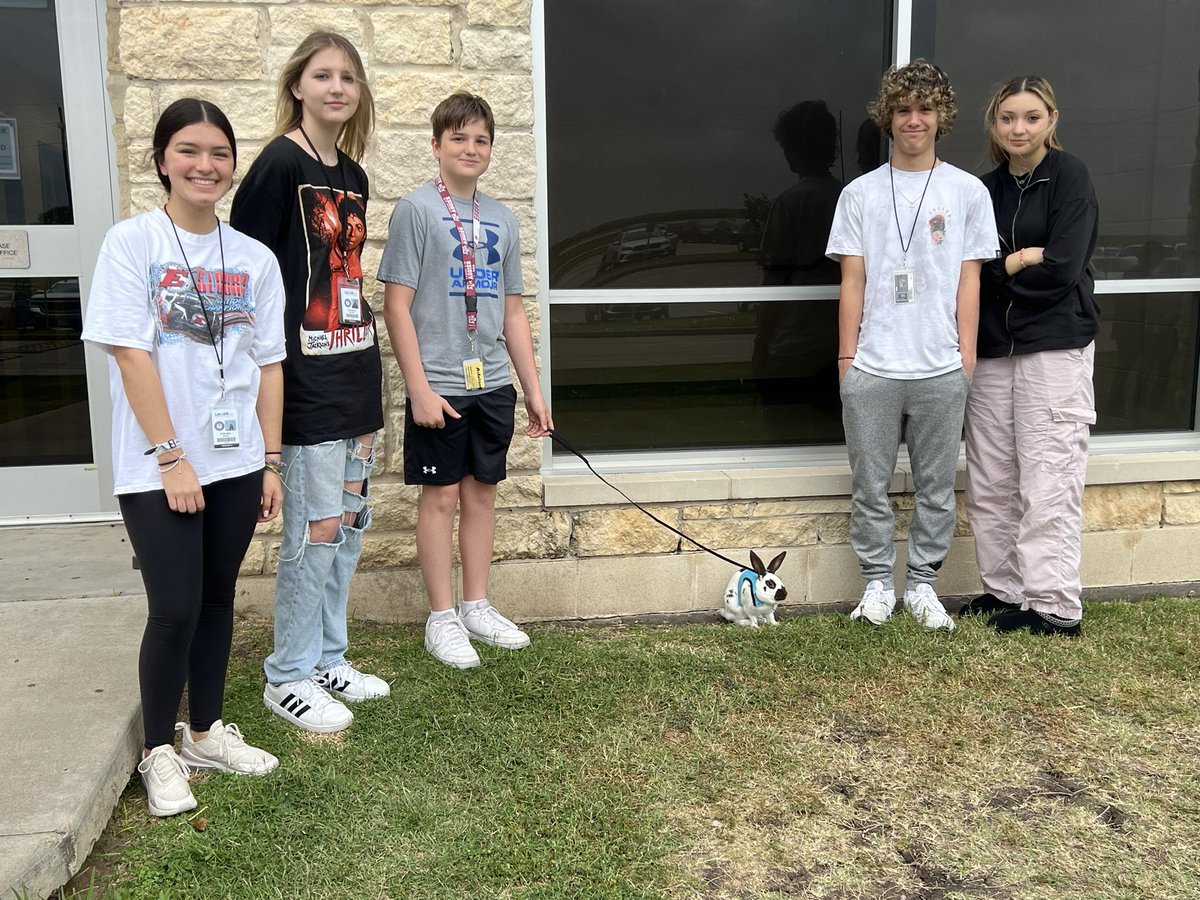 LindseyHaley2's tweet photo. Small Animal Management took all their pets out for #frolicfriday Chloe got a bath while Max the bunny, Argyle the Guinea pig, and Yuri the tortoise explored the front yard. @pinkpatterson @LamarCISDCTE #wearegr https://t.co/xtySeq7F1Y