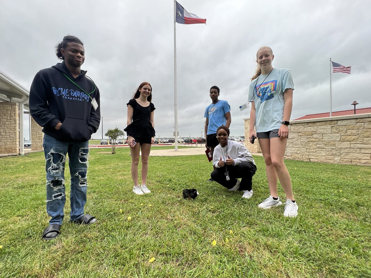 LindseyHaley2's tweet photo. Small Animal Management took all their pets out for #frolicfriday Chloe got a bath while Max the bunny, Argyle the Guinea pig, and Yuri the tortoise explored the front yard. @pinkpatterson @LamarCISDCTE #wearegr https://t.co/xtySeq7F1Y