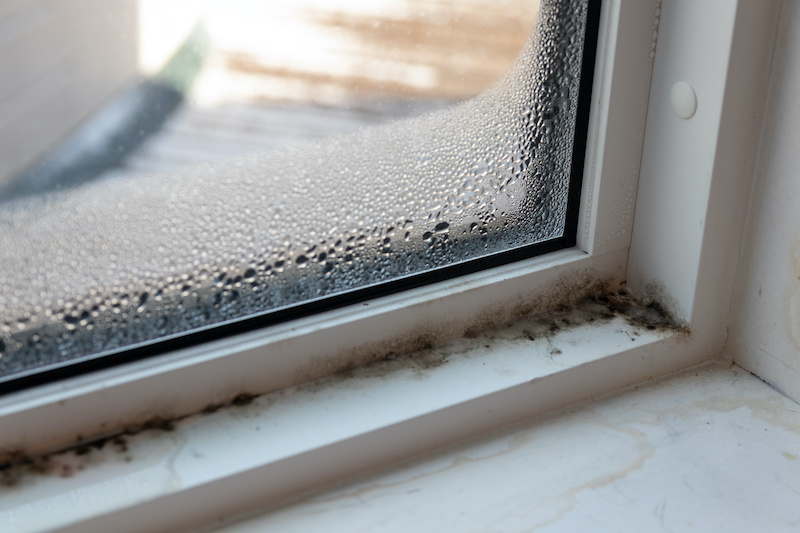 elliottwindow's tweet image. If you see mold or mildew on your #WindowFrames, call in a professional #WindowCleaner. Mold and mildew can be harmful to your health and can also damage your windows if left untreated. #CleanWindows #HomeRenovation #HomeImprovement bit.ly/3TCtWmf
