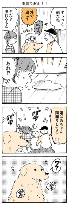 雨ですね☂️☔️

#姫ばあちゃんとナイト(単行本発売中!)
グッズ通販:https://t.co/bmBPY0BVFf 