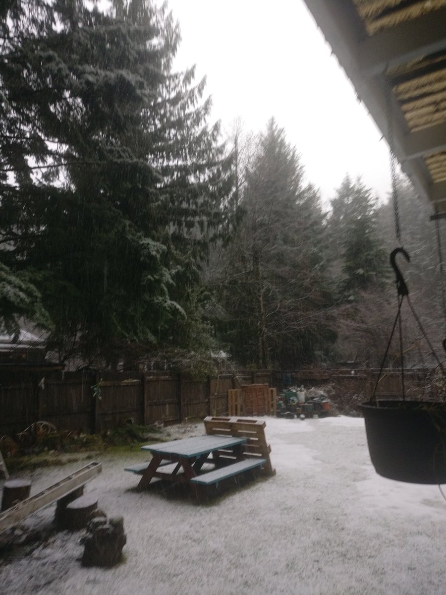 odiesislandlife's tweet photo. Remember two days ago when I was having a cocktail in the sunshine.. Yeh that's over #stupidsnow #malahat https://t.co/WYCf3hz2m5