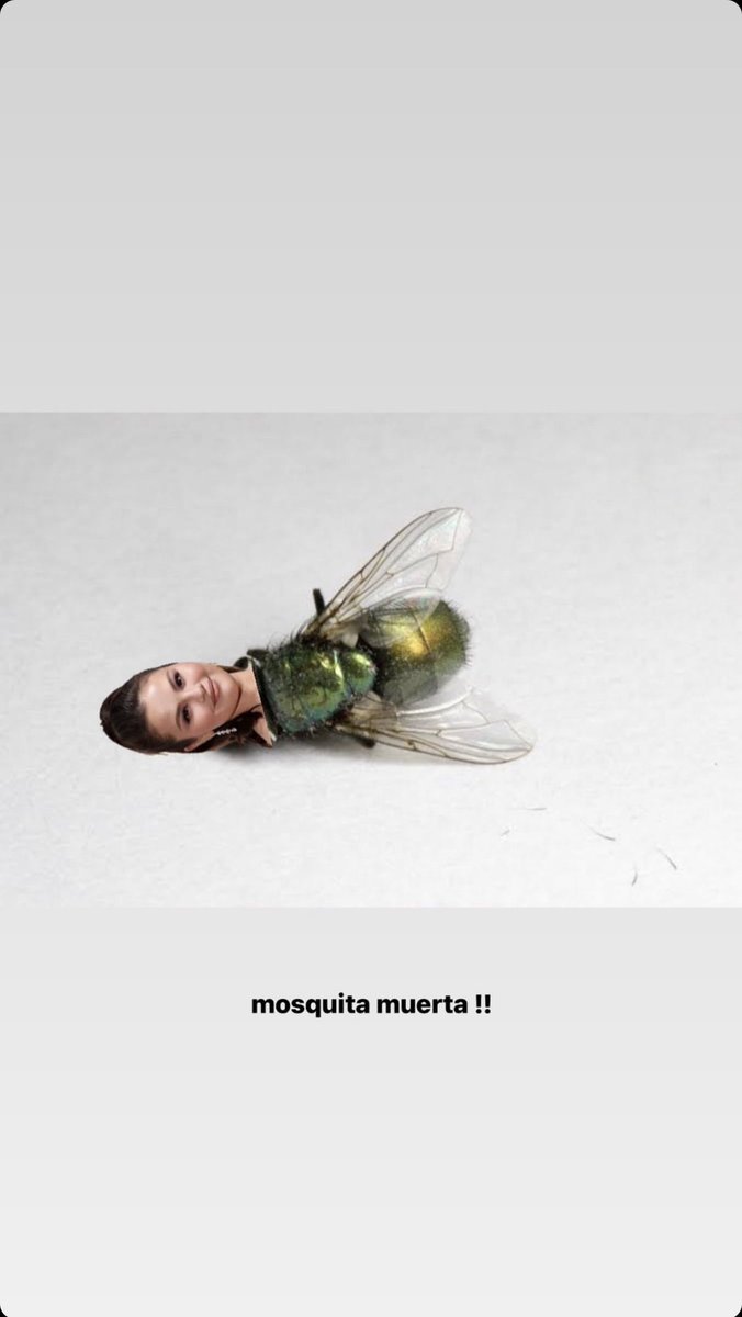 toomuchdrw's tweet photo. JJAAJSJJAA SI ES https://t.co/OgkWfQavZS