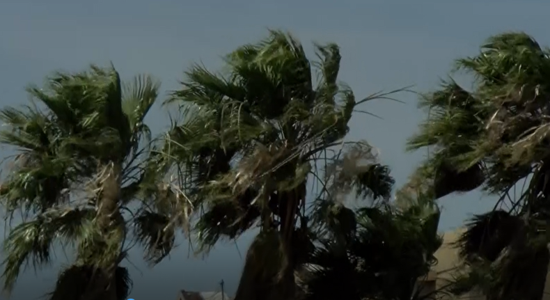 #Local Dejan fuertes vientos postes y árboles caídos
bit.ly/3Zf028M