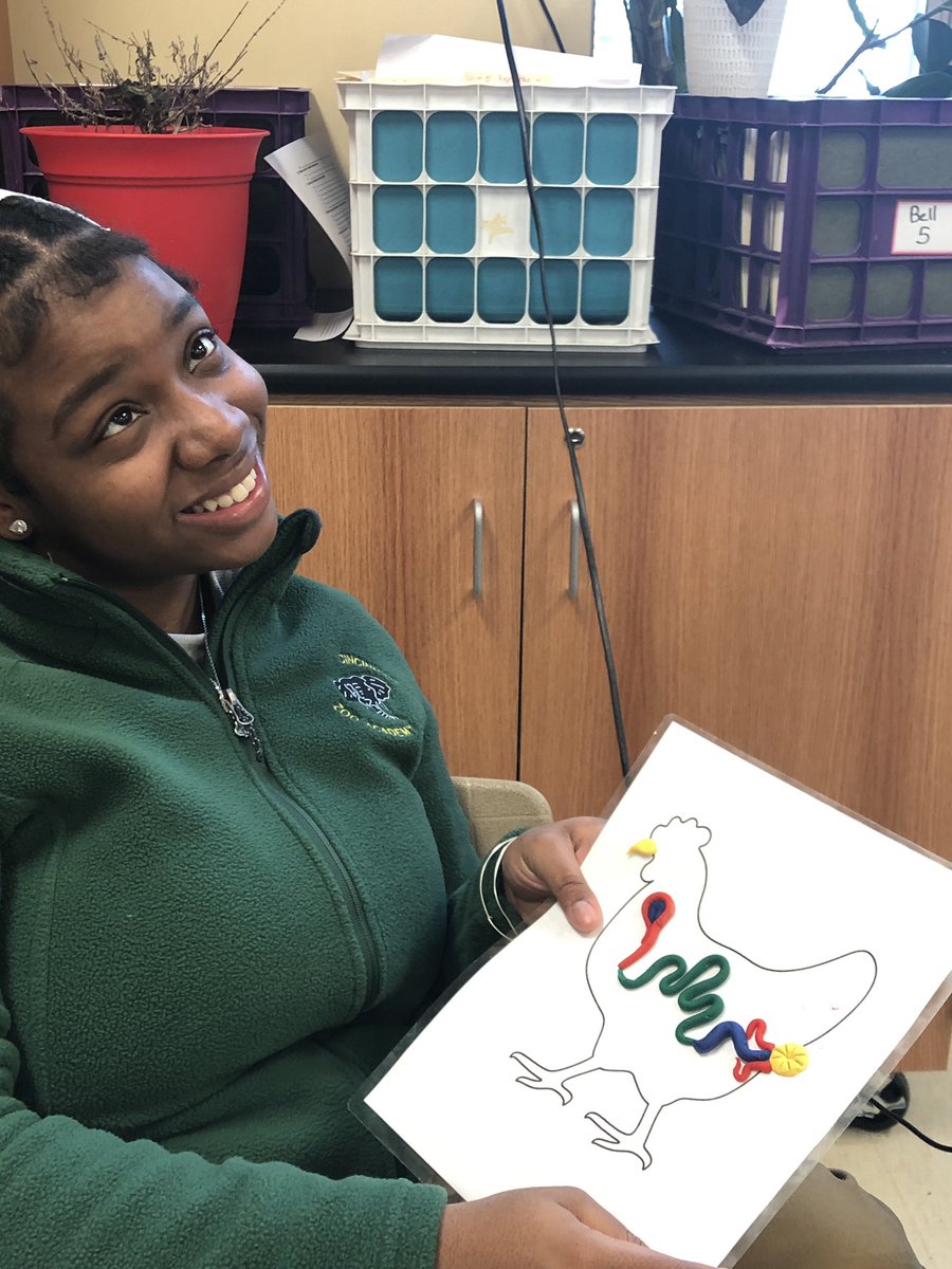 CPSHoward's tweet photo. Seniors modeling 4 different animal digestive systems preparing for the vet tech exam next month!! #zooacademyrocks #zooacademycps #hughesstem #hughesbigred https://t.co/zKJ6Hd2MY6