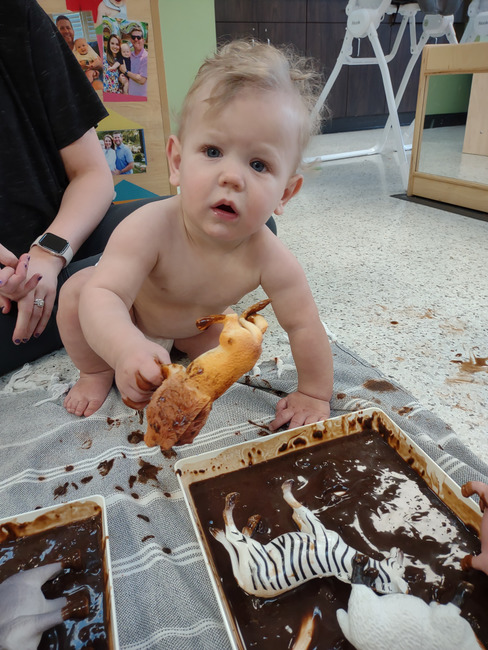 Kim Case tweet media