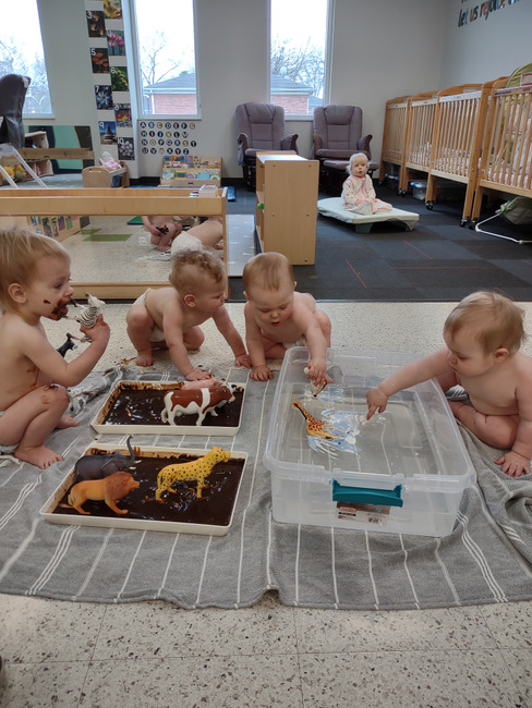 Kim Case tweet media