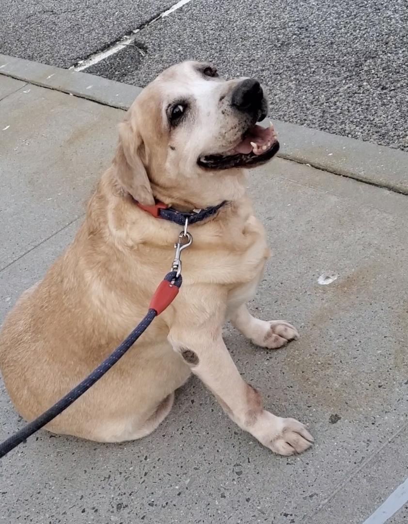 Adam Kotza tweet media