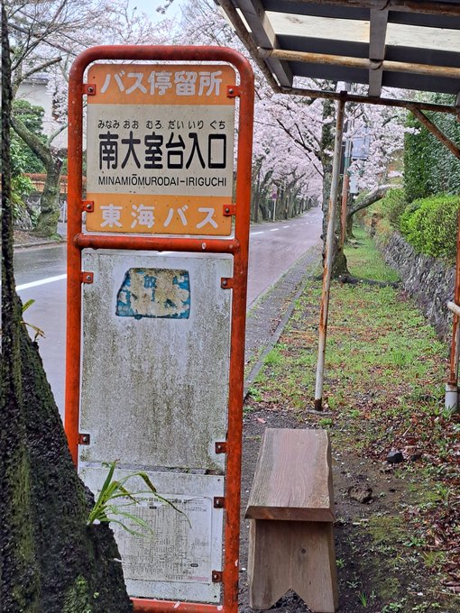 南大室台入口バス停と桜並木通り、残念ながらあまんちゅ！ラッピングバス２号車は来ませんでした。 #あまんちゅ 