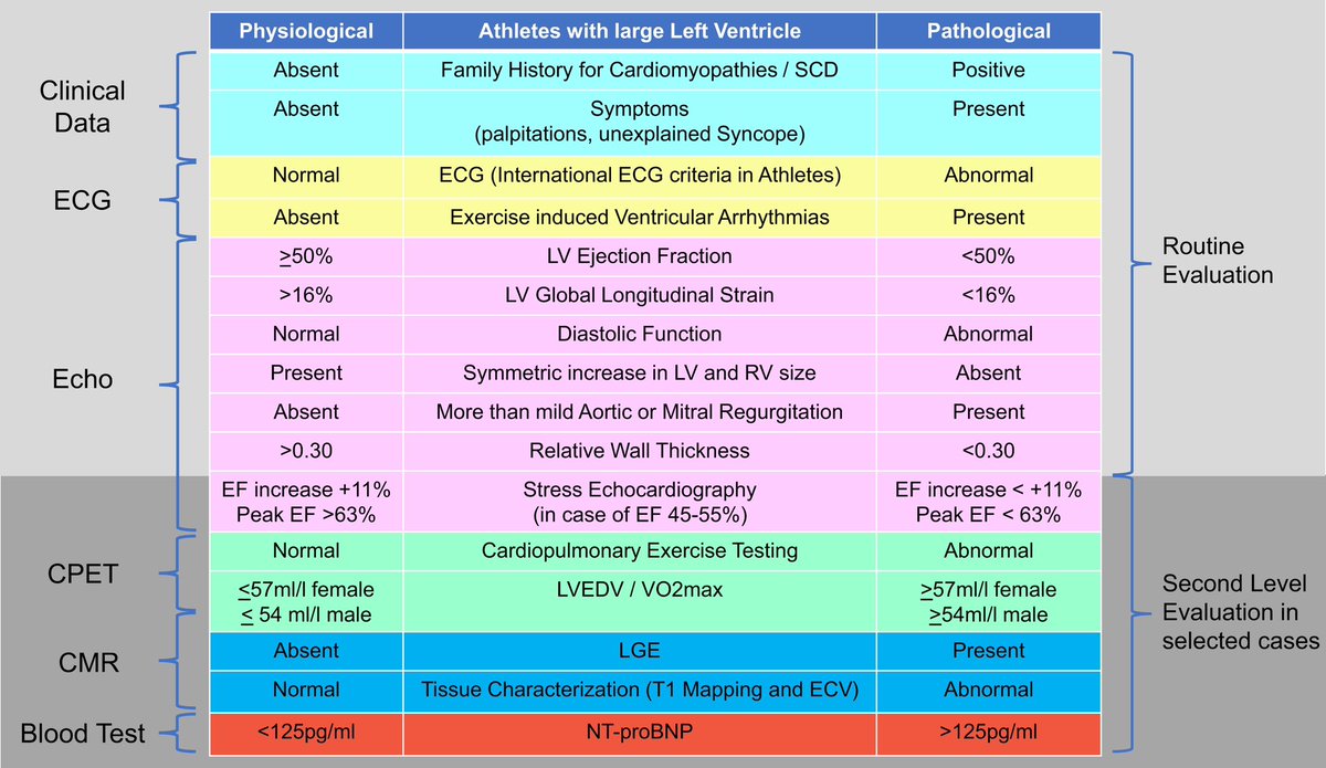 Henry Han (@hancardiomd) on Twitter photo New data to differentiate physiological vs. pathological LV dilatation in athletes
Criteria for differential diagnosis between physiological and pathological #LVH in athletes
academic.oup.com/ehjcimaging/ad… #EHJCVI <a href="/escardio/">European Society of Cardiology</a> <a href="/ESC_Journals/">European Society of Cardiology Journals</a> <a href="/SSharmacardio/">Sanjay Sharma</a> <a href="/vass_vassiliou/">Vass Vassiliou</a> <a href="/DrMarthaGulati/">Dr. Martha Gulati ♥️🫀❤️🩹🇨🇦</a> New data to differentiate physiological vs. pathological LV dilatation in athletes
Criteria for differential diagnosis between physiological and pathological #LVH in athletes
academic.oup.com/ehjcimaging/ad… #EHJCVI <a href="/escardio/">European Society of Cardiology</a> <a href="/ESC_Journals/">European Society of Cardiology Journals</a> <a href="/SSharmacardio/">Sanjay Sharma</a> <a href="/vass_vassiliou/">Vass Vassiliou</a> <a href="/DrMarthaGulati/">Dr. Martha Gulati ♥️🫀❤️🩹🇨🇦</a>