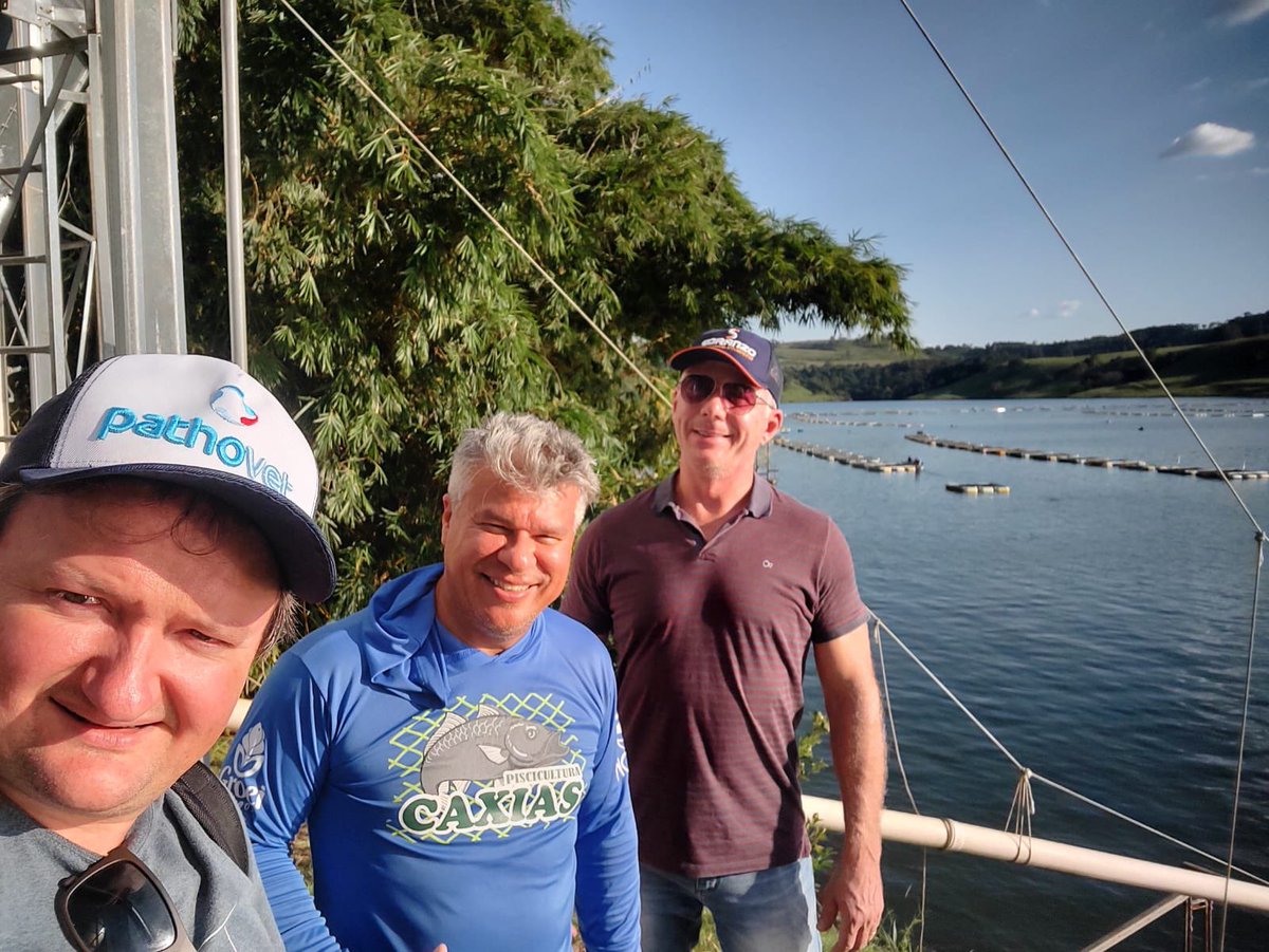 pathovetlab's tweet photo. 🇧🇷 🐟 Esta semana tivemos a oportunidade estar com produtores de um pujante polo de produção de tilápias do #Brasil, trata-se da região #sudoeste do #Paraná Tivemos a oportunidade debater a importância do #investimento em programas de monitoramento sanitário #Alphafish #Caixas https://t.co/rXygmqRbPe