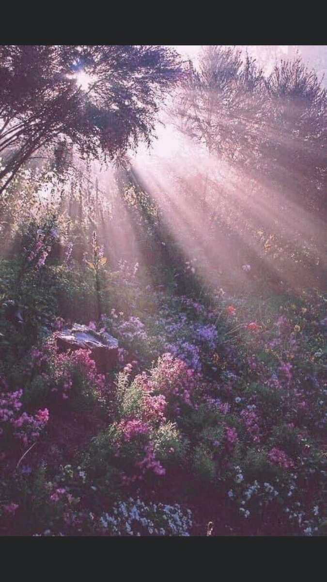 My art and what I’m thinking about when I’m making it✨✨