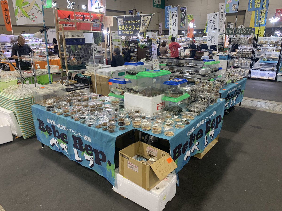 BebeRep_d's tweet image. ナゴレプBebe Rep.ブース設営終わりました！
ご来場の際はお立ち寄りの方、宜しくお願いします🙇‍♂️