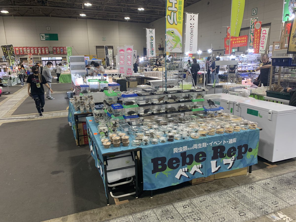 BebeRep_d's tweet image. ナゴレプBebe Rep.ブース設営終わりました！
ご来場の際はお立ち寄りの方、宜しくお願いします🙇‍♂️