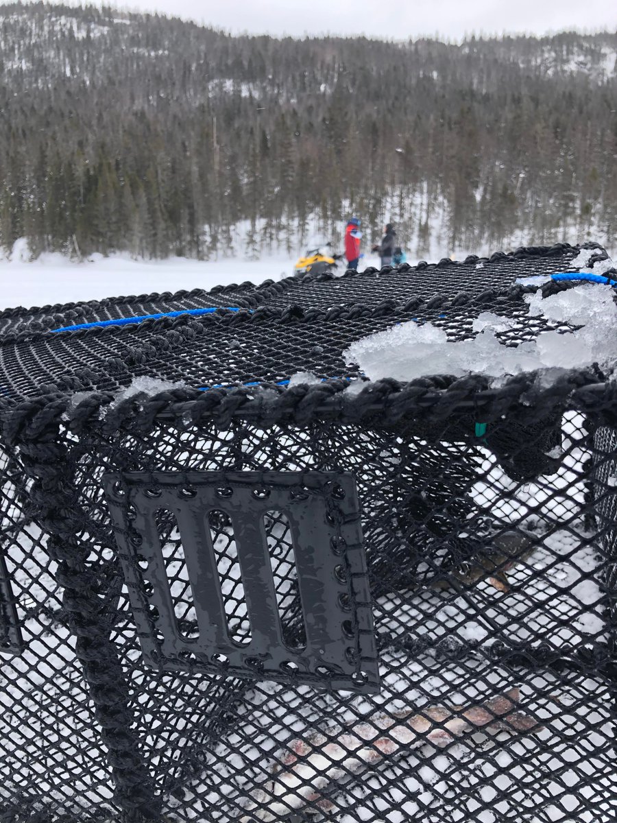 CRÉA_CC tweet media