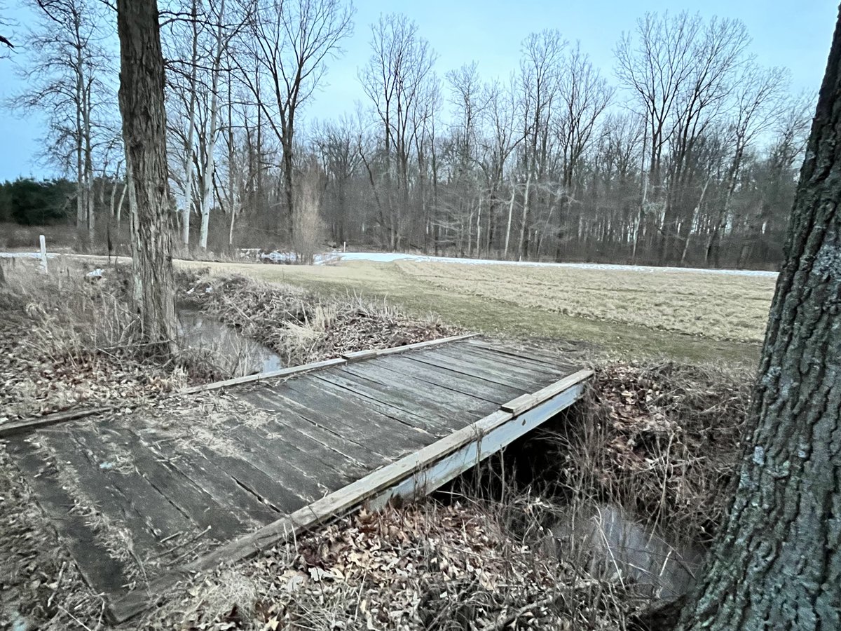 mirovuacres's tweet image. Snow is finally melting, birds are chirping, it’s beginning to feel like #spring  😀

#countryliving #nomorewinter