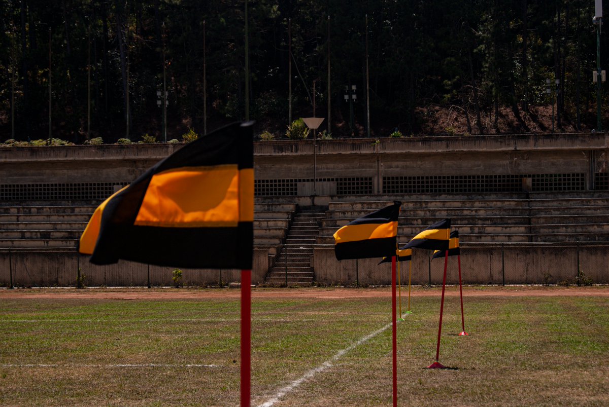 rxxult's tweet image. la verdad que el rugby es un deporte bastante noble