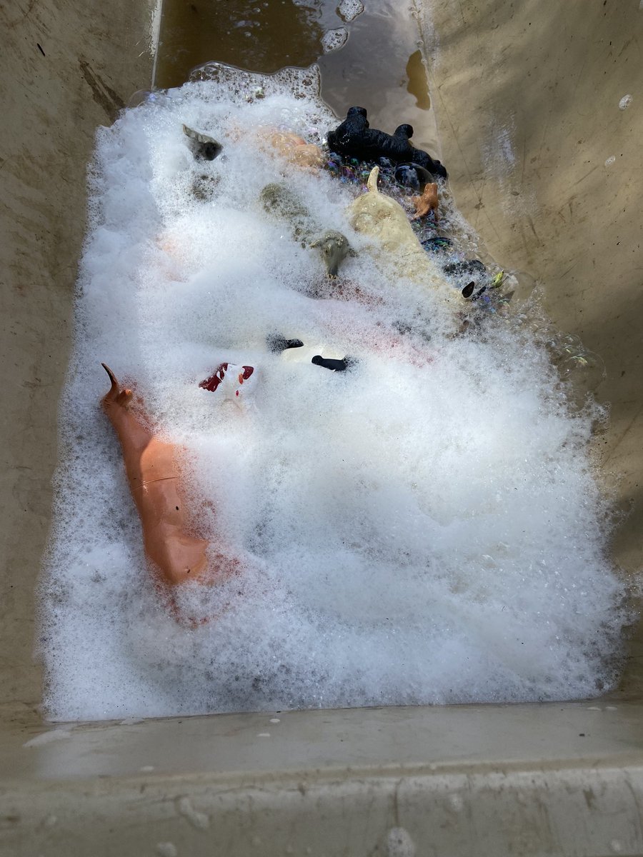 It’s very rewarding setting up intentional learning encounters that children enjoy! Here children are enjoying giving animals a bubble bath 🛀 #childledlearning #natureplay read more here 👉 shannonlethbridge9.edublogs.org/2023/03/25/bub…