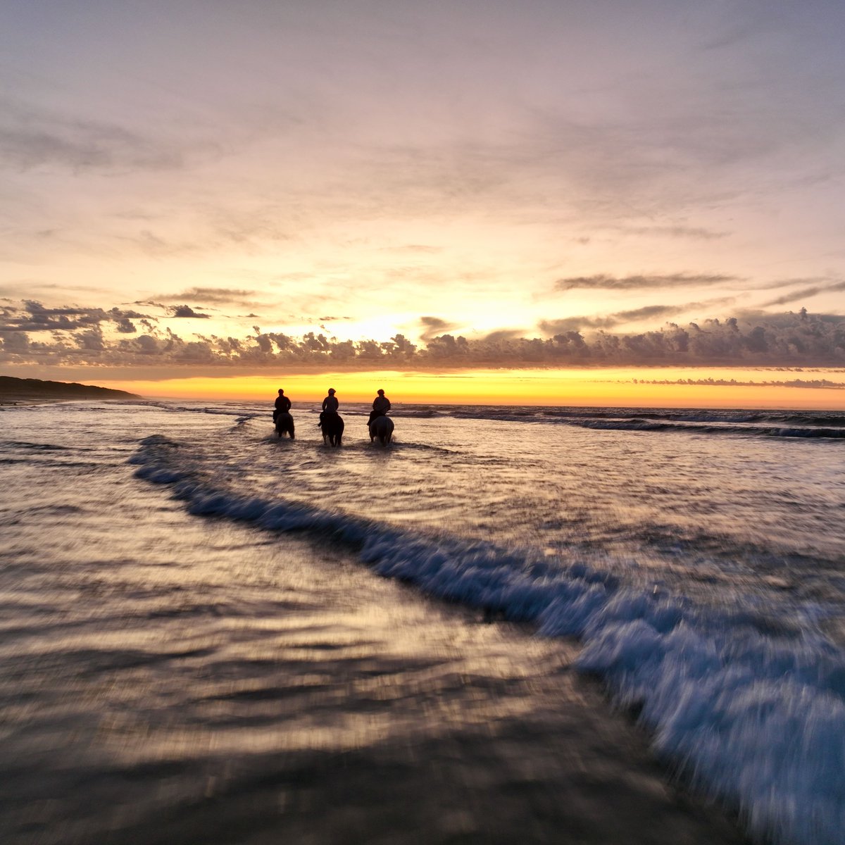 AusJumpsRacing's tweet photo. Some Trainers like to train on the coast, resulting in beautiful mornings like this with @PatemanRacing 

We are grateful to get access to these beaches and train such beautiful animals in such magnificent environments. https://t.co/h9Lge1zrJ6
