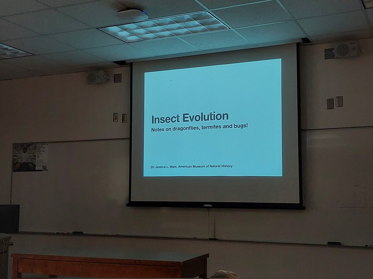 taravuhu's tweet photo. Interesting talk today by
Dr. @jessicaleeware42 from @amnh

We are really happy to have you here @byulifesciences @byubio
Especially when we had the sharing session in our grads room yesterday. #dragonflies #damselflies #termites #bugs #insectevolution https://t.co/Z4Al7U49CK