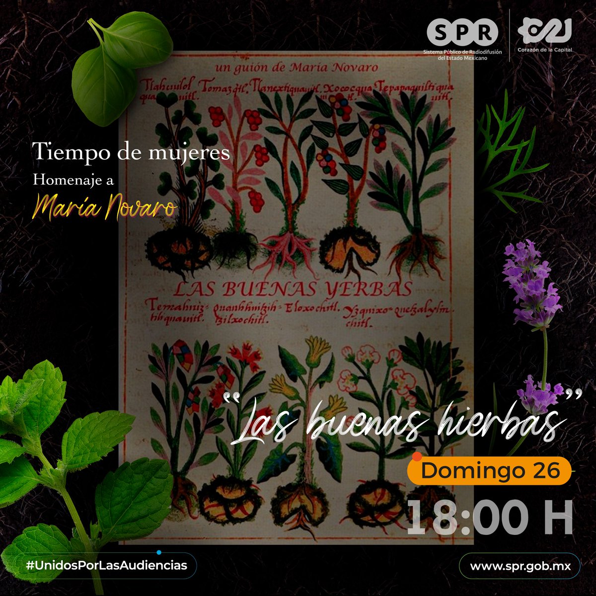 SPRMexico's tweet photo. "Las buenas hierbas" 🌱🌿 es un relato sobre la química del cerebro, la química de las plantas y las emociones humanas.
Sintoniza este homenaje a #MariaNovaro en @Capital_21 📺21.1 a las ⏰18:00H o en la 📱#App de @MxPlusTV.
#UnidosPorLasAudiencias https://t.co/Iiu2eynedL