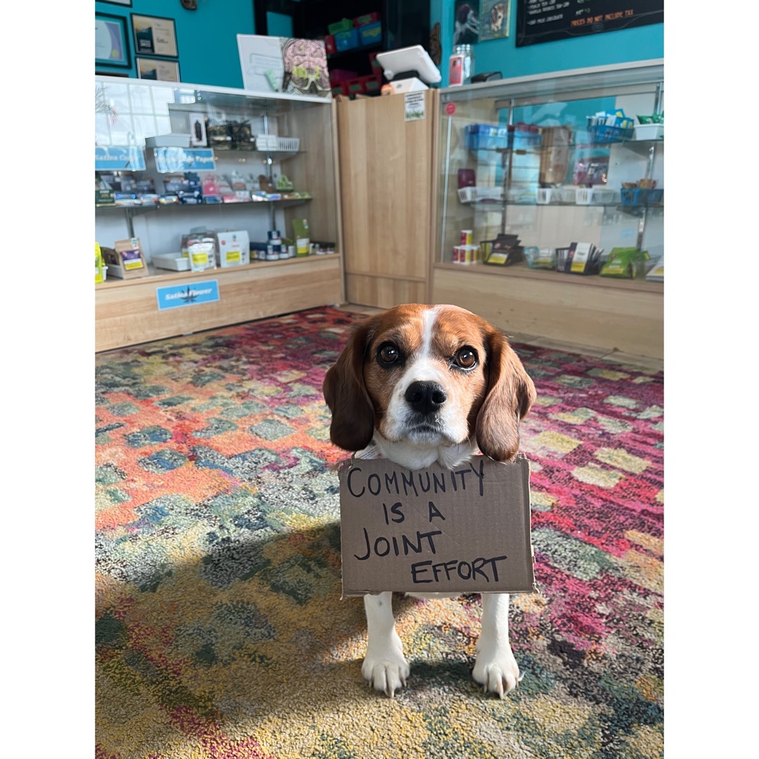 Sky High Cannabis has joined Twitter. Community is a joint effort!