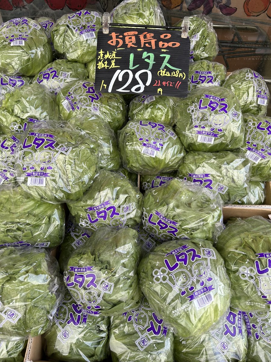 musashiya__6348's tweet photo. おはようございます☀今日は寒かった-
本日お買得商品です！！
・春キャベツ1個198円　初入荷！
　やわらかくて美味しいですよね~😊
・小松菜1袋68えん
・ブロッコリー愛知産1個128円
・レタス1個（Lｻｲｽﾞ）128円
ご来店お待ちしてます！
宜しくお願いします😊⤴️⤴️ https://t.co/wPmPvPTA2R