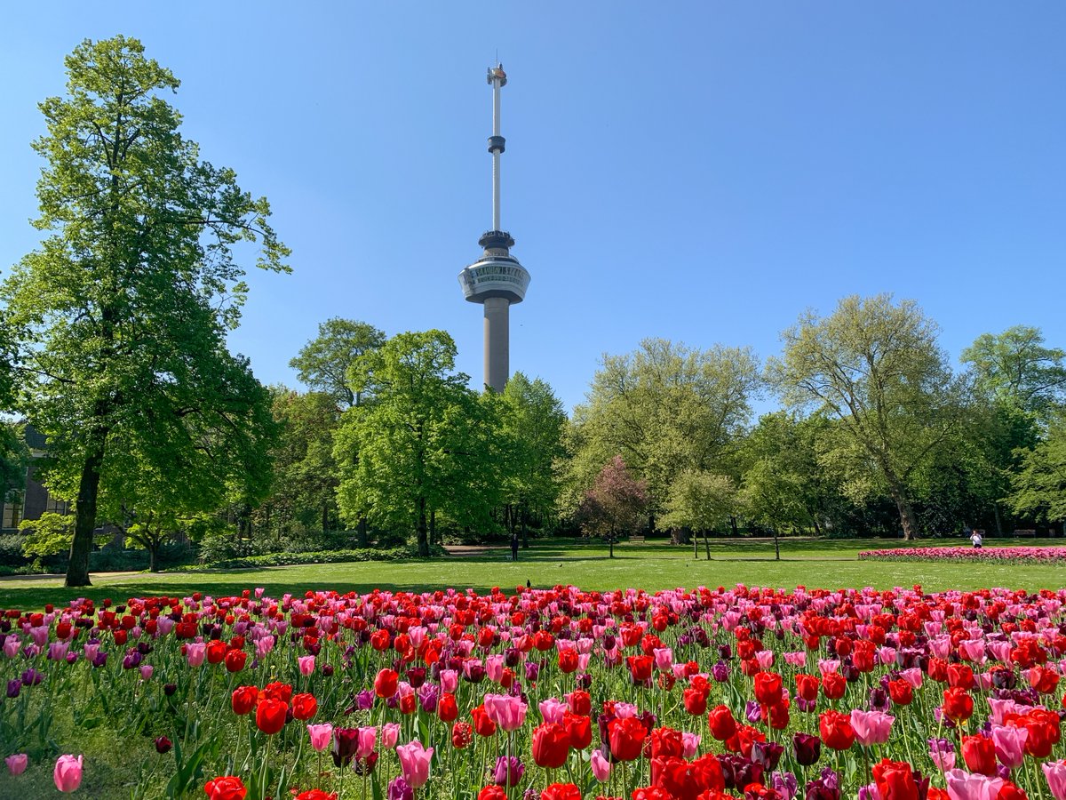 Er is er één jarig, hoera, hoera. Dit torenhoge icoon van de stad werd vandaag 63 jaar geleden geopend. 🎈 💚 

Van harte gefeliciteerd <a href="/Euromast010/">.</a>!  

Wat is jouw mooiste ervaring met of op de #Euromast?  💬