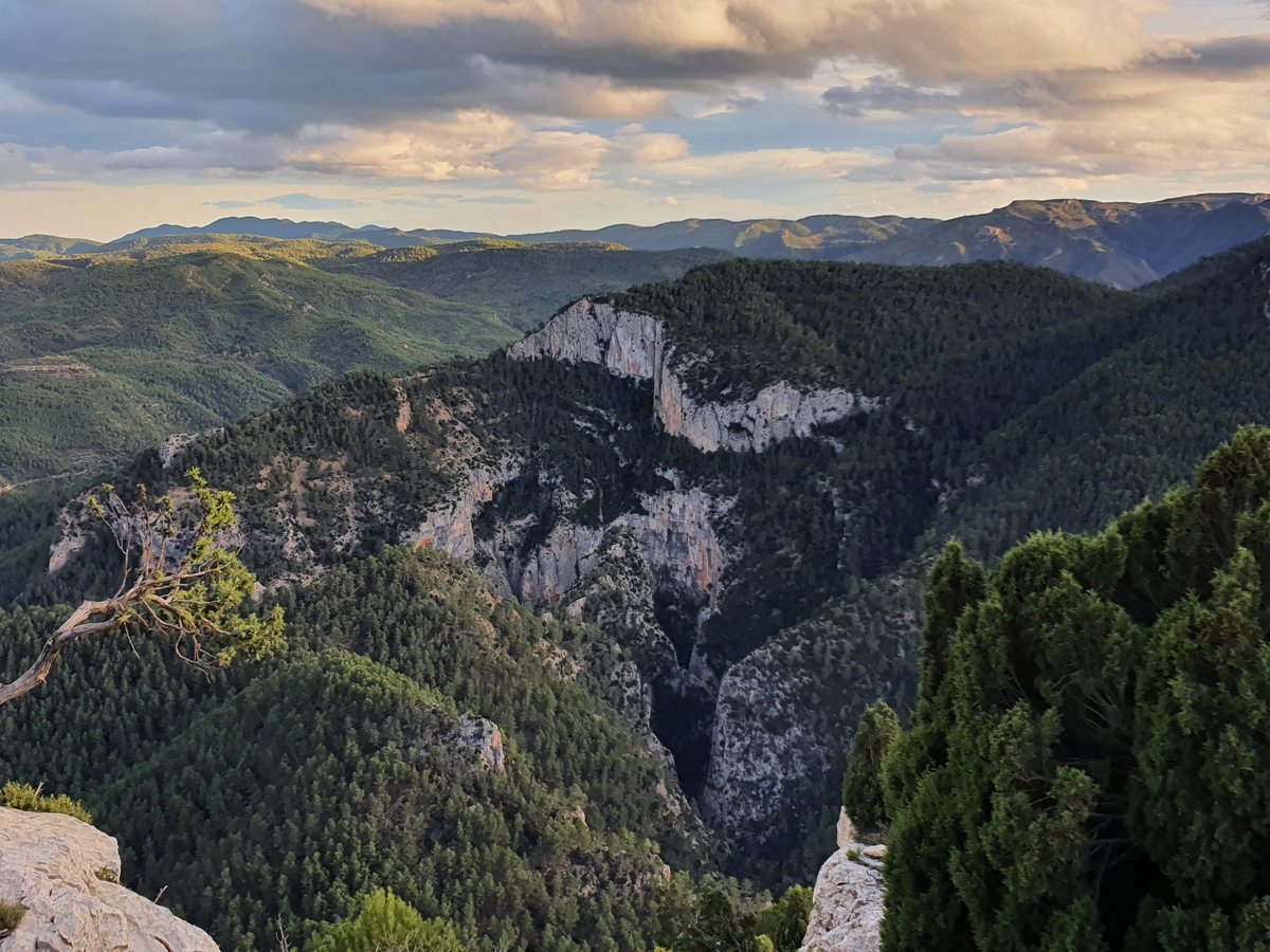 Adrià Revert (@adria_revert) on Twitter photo #IFVillanuevaViver S'ha cremat el Barranco de la Maimona (Montanejos), una de les zones més espectaculars de l'Alt Millars. 😢
📷 Barranco de la Maimona des del Morrón de Campos (tardor de 2021). #IFVillanuevaViver S'ha cremat el Barranco de la Maimona (Montanejos), una de les zones més espectaculars de l'Alt Millars. 😢
📷 Barranco de la Maimona des del Morrón de Campos (tardor de 2021).