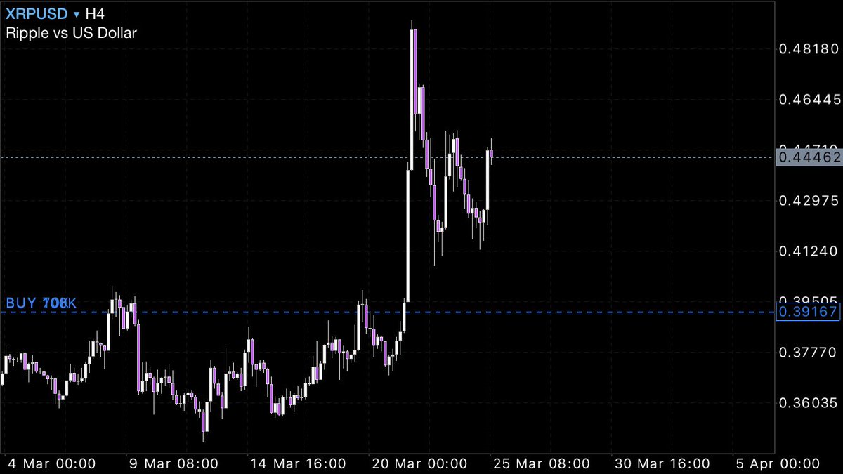 フラミンゴ tweet media