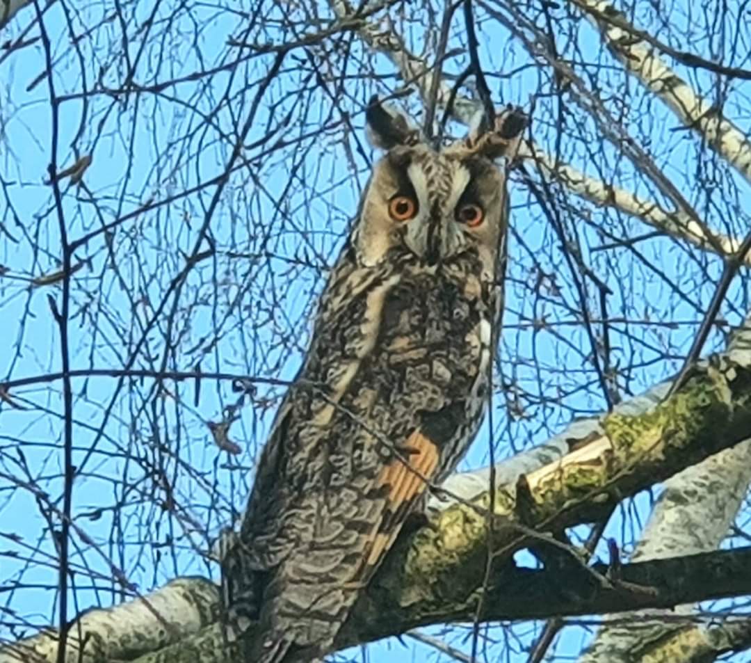 Soms zie je nog eens wat op de fiets.