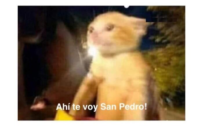 Mi novio me enseño a andar en moto  SOY LA MAS FELIII🤩🥺(aunque todo el tiempo que anduve mi imagen era esta)