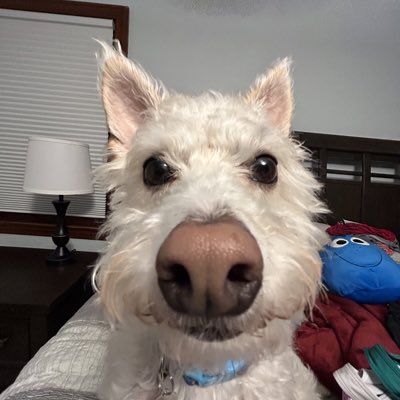 mgrecs24's tweet photo. #NewProfilePic https://t.co/qHxFd9AoYp