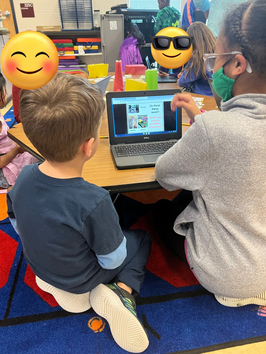 Kayla Hahn tweet media