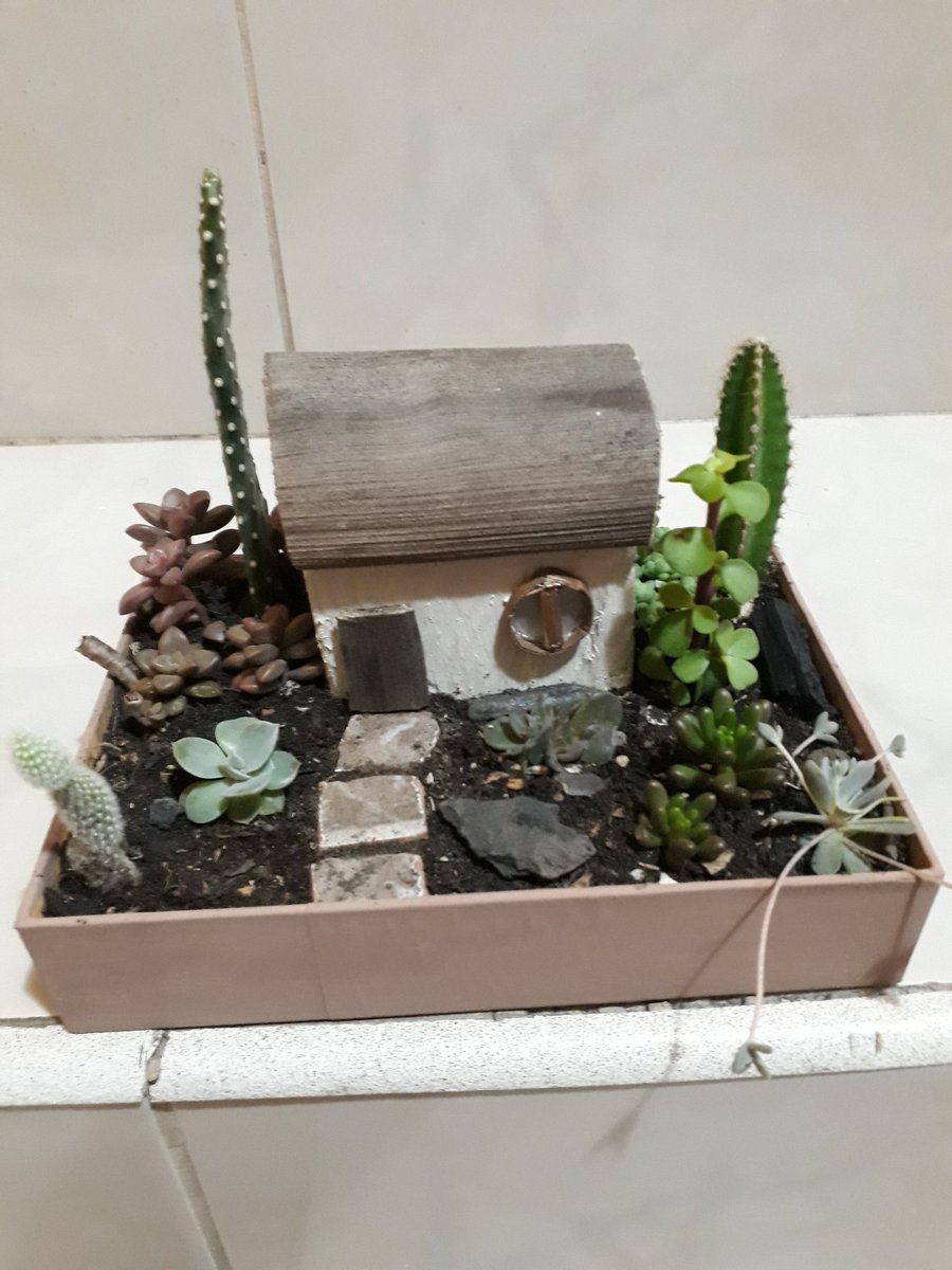 #idea #♻️♻️♻️ #terrario #arreglo  #cactusysuculentas #guayas #daule