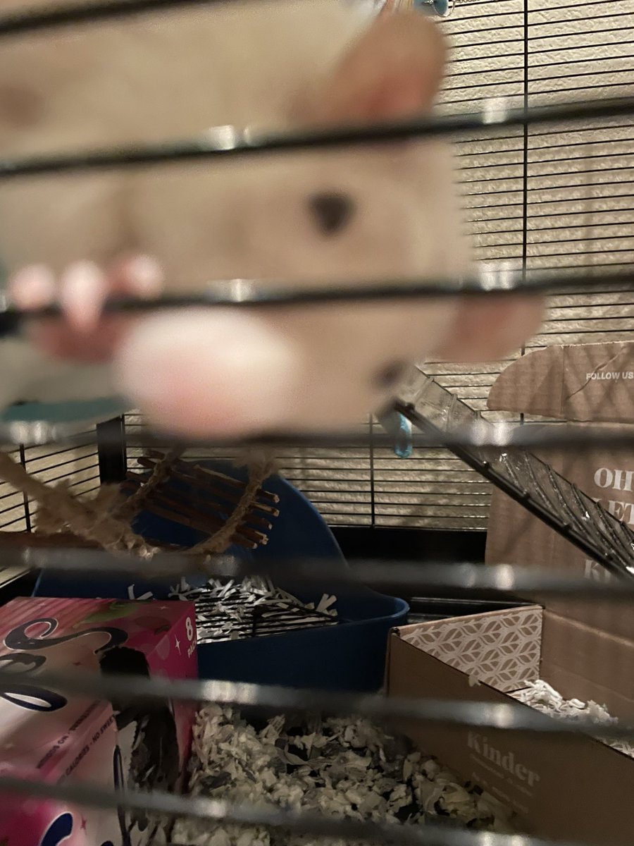 axel (@axelbianchet) on Twitter photo 