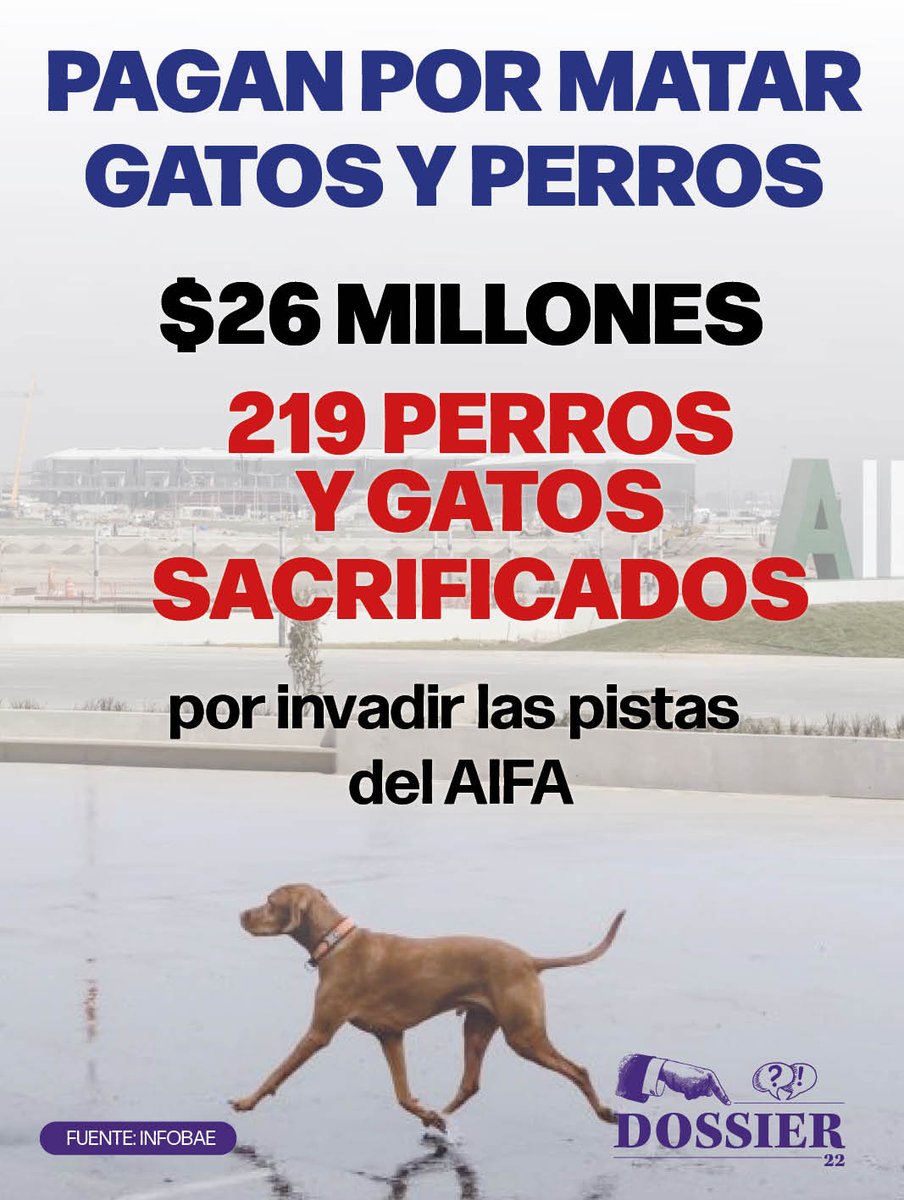 ProyectoDossier's tweet photo. Olvidan la austeridad cuando se trata de asesinar animales. En un año, en el #AIFA se han sacrificado a 219 perros y gatos que han ingresado a las pistas de la central aérea, reporta #Sedena. Se contrató a la empresa #Servipro de México mediante un contrato por 26.4 mdp. https://t.co/ExCDbhUVio