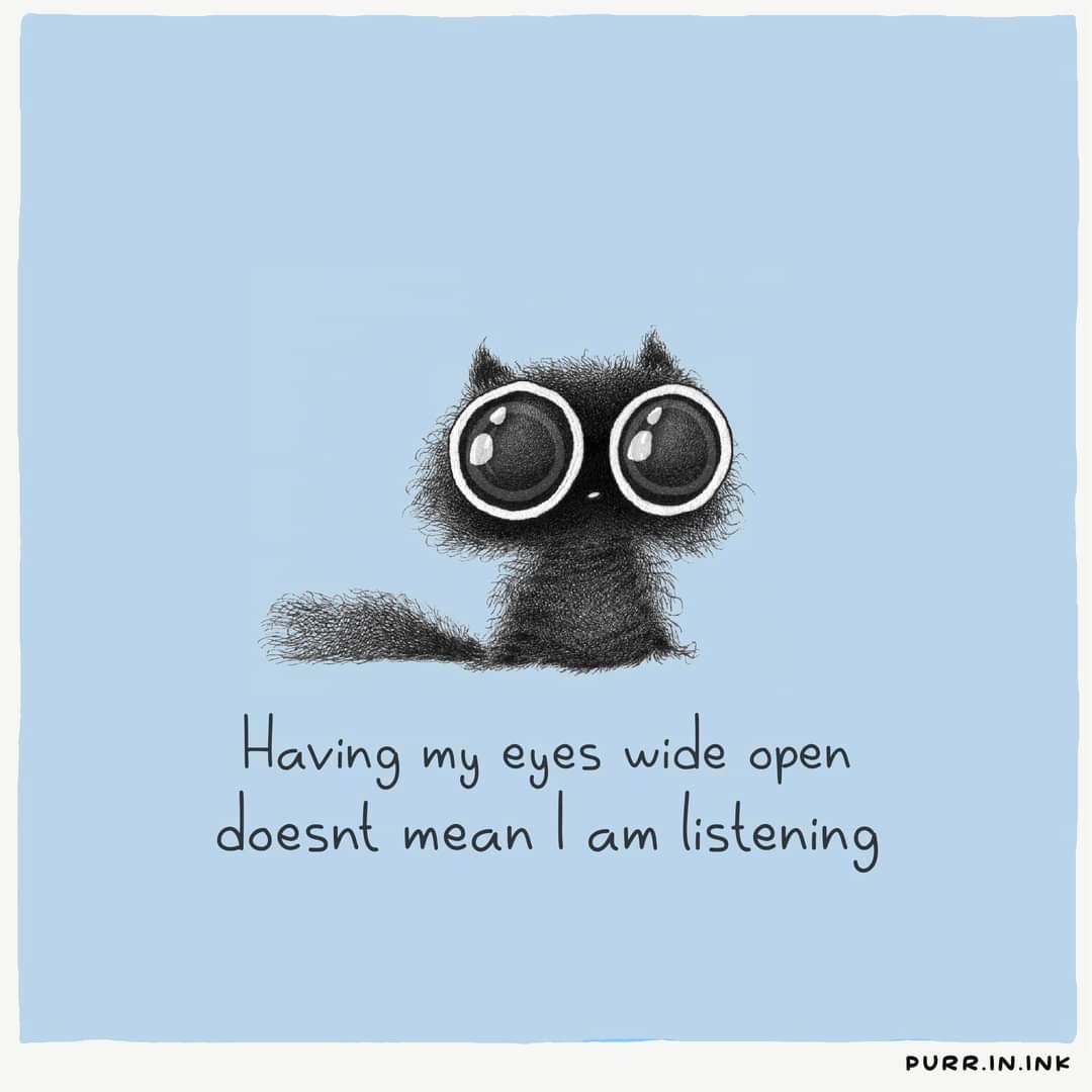 kathyahexe's tweet photo. It's funny, cuz is true 😺 https://t.co/UovsKPxZIg