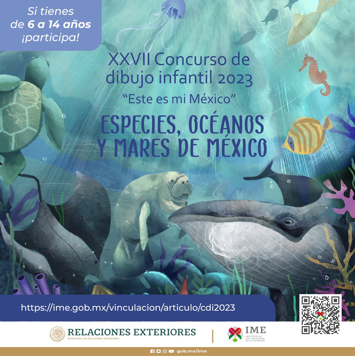 ¡Convocatoria abierta!
Participa en el XXVII🎨 Concurso de Dibujo Infantil “Este es mi México”. Echa a volar tu imaginación con el tema: 🐋Especies, Océanos y Mares de México. 

Detalles en: ime.gob.mx/vinculacion/ar… 
<a href="/SRE_mx/">Relaciones Exteriores</a> <a href="/luisgure/">luisgure</a> <a href="/falvarc/">Fernanda Alva</a>
