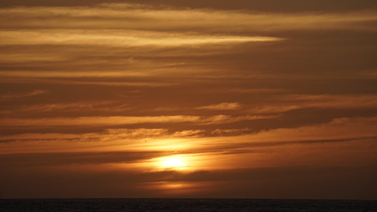 RT <a href="/promovisionpv/">Ray Dion</a>: The Sun Mar 24 2023 Puerto Vallarta #PuertoVallarta #sunset #sunsetlovers #sunsetphotography #sunsetbeach #sunset_pics #sunsets_captures #sunsetsky