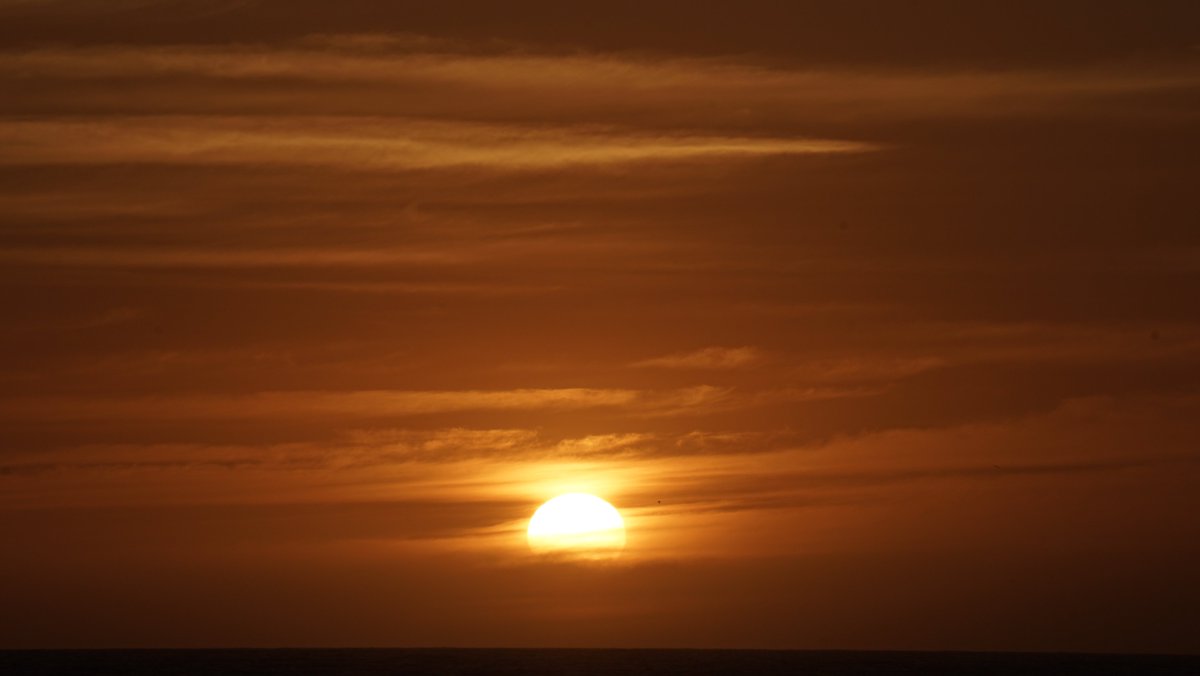 Sunset Snaps tweet media