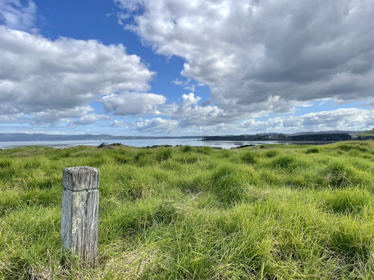 NatashaBarret18's tweet photo. Ōtuataua Stonefields - volcanic stonefields walk @AklCouncil
#Mangere #Auckland #Ōtuataua #Stonefields #stonewalls #walls #walks #shotoniphone #iphonephotography #iphone12pro #views #stoneworks #earthworks #heritagelandscapes #naturereserves #scoria https://t.co/Kx6C8Cf07V