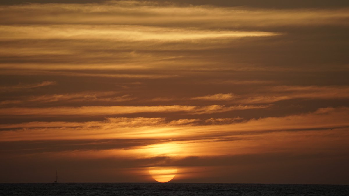 RT <a href="/promovisionpv/">Ray Dion</a>: The Sunset Mar 24 2023 Puerto Vallarta #PuertoVallarta #sunset #sunsetlovers #sunsetphotography #sunsetbeach #sunset_pics #sunsets_captures #sunsetsky