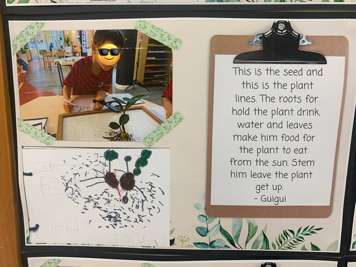 Love the creative ways our teachers document student learning throughout our UOI. Students loved showing me their page and explaining their learning #STP #earlyyears #documentinglearning <a href="/ampaolagonzalez/">Paola Gonzalez 🇵🇭🇺🇸🇪🇸🇻🇳</a>