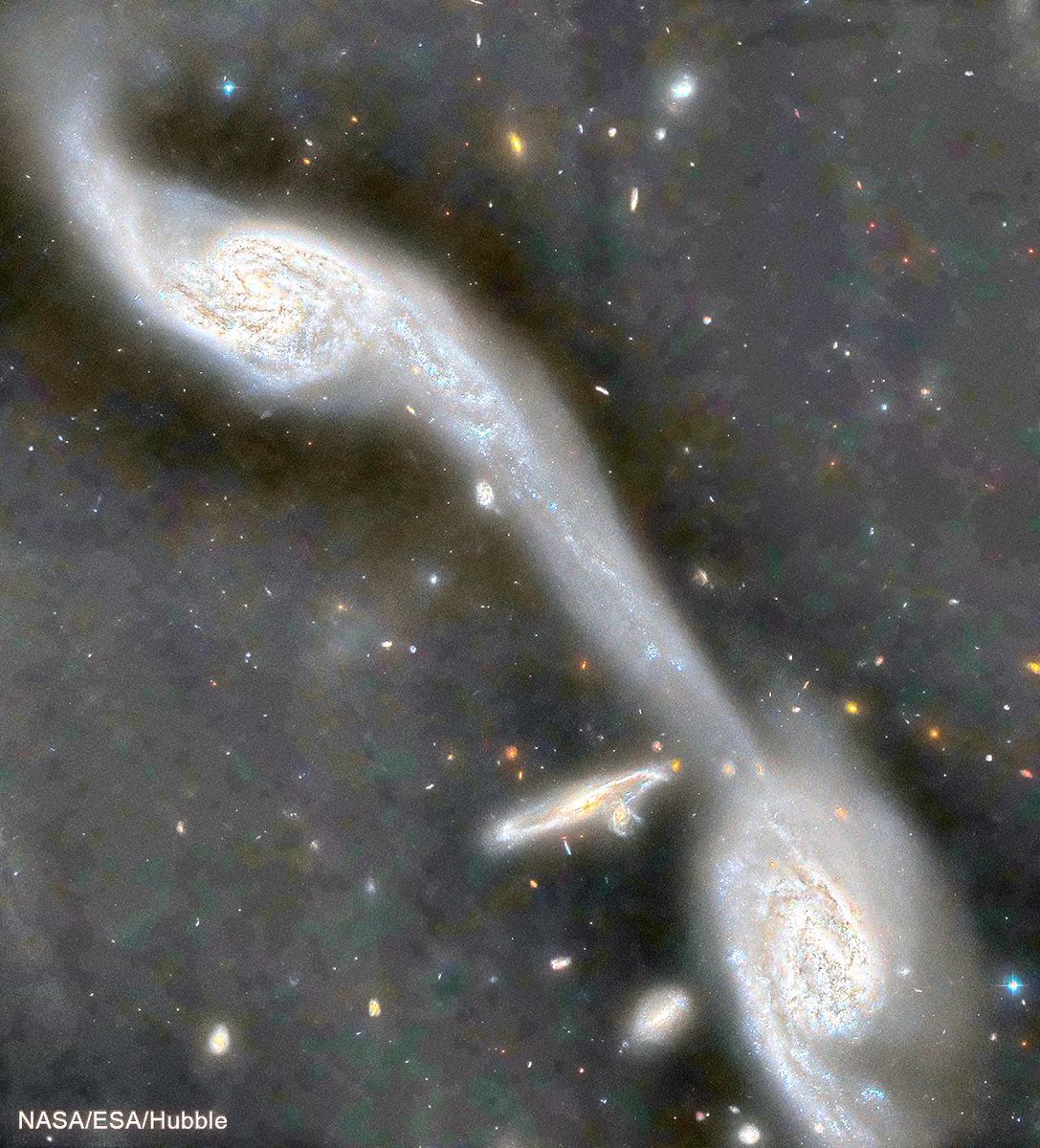 trouseredapes's tweet photo. @chandraxray Visibility Challenge :: #HacktheUniverse https://t.co/i6lz9OfiPF