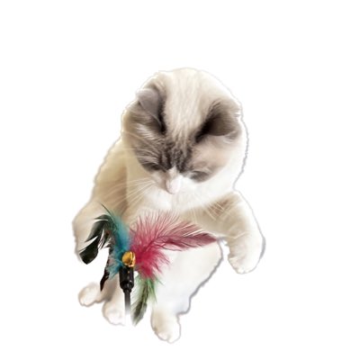 mariechan_____'s tweet photo. #新しいプロフィール画像 https://t.co/8Eb1vAs5sd