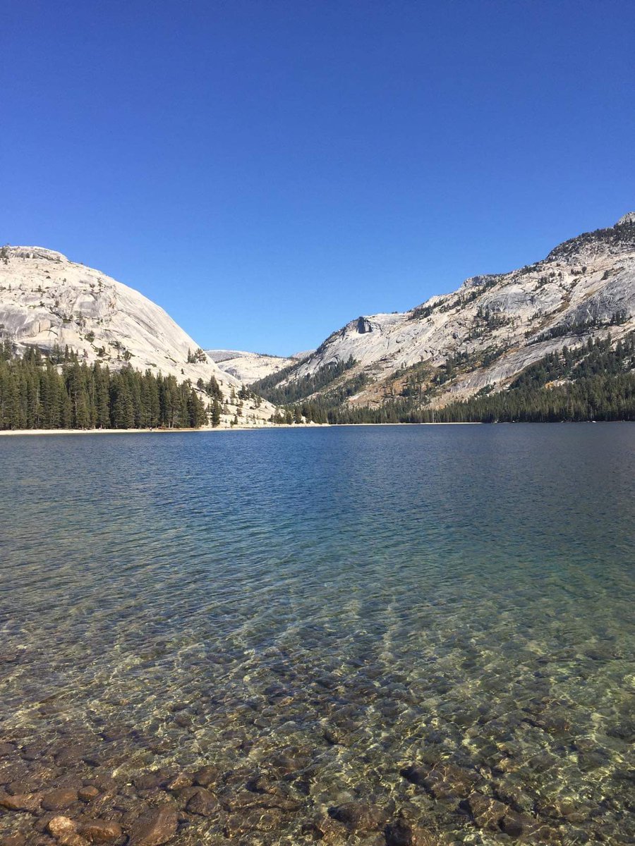 Mary Fitzsimons🇮🇪 tweet media